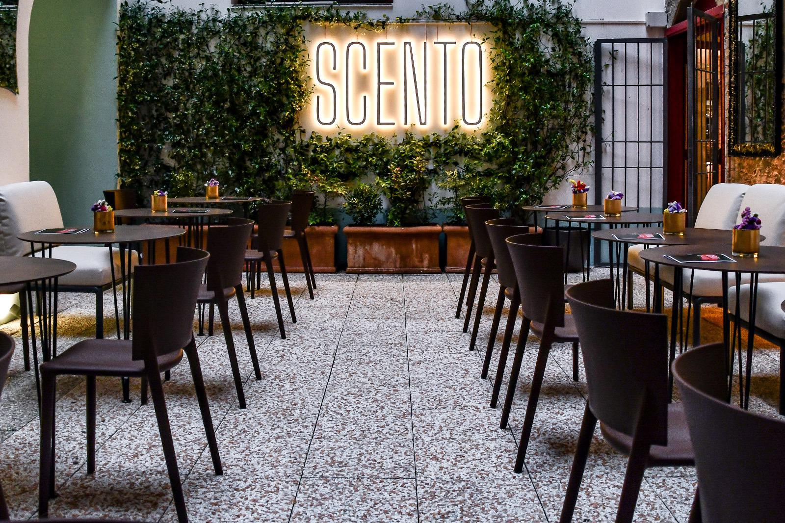 SCENTO neon sign glowing among tropical plants
